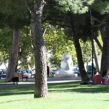 Avec Terrasse